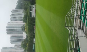 足球场地设施建设方案解读：广州星卫草业的场地标准与施工流程