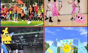 德之杰视角：全包团建与单项方案抉择指南
